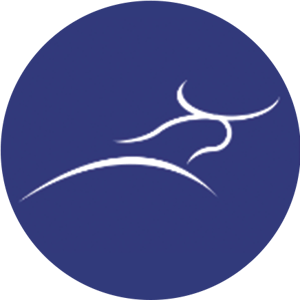 Logotipo-fortuna-y-poder