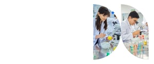 Pre-University Lab 2025_Pantalla Nutricion copy