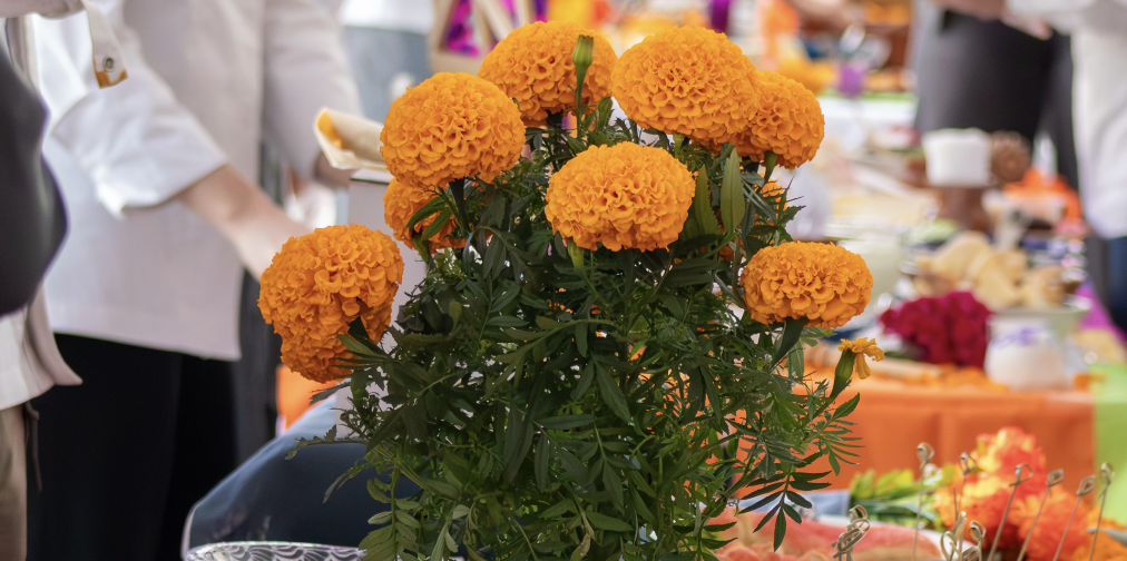 El arte de recordar con sabor: altares y gastronomía en CESSA Universidad