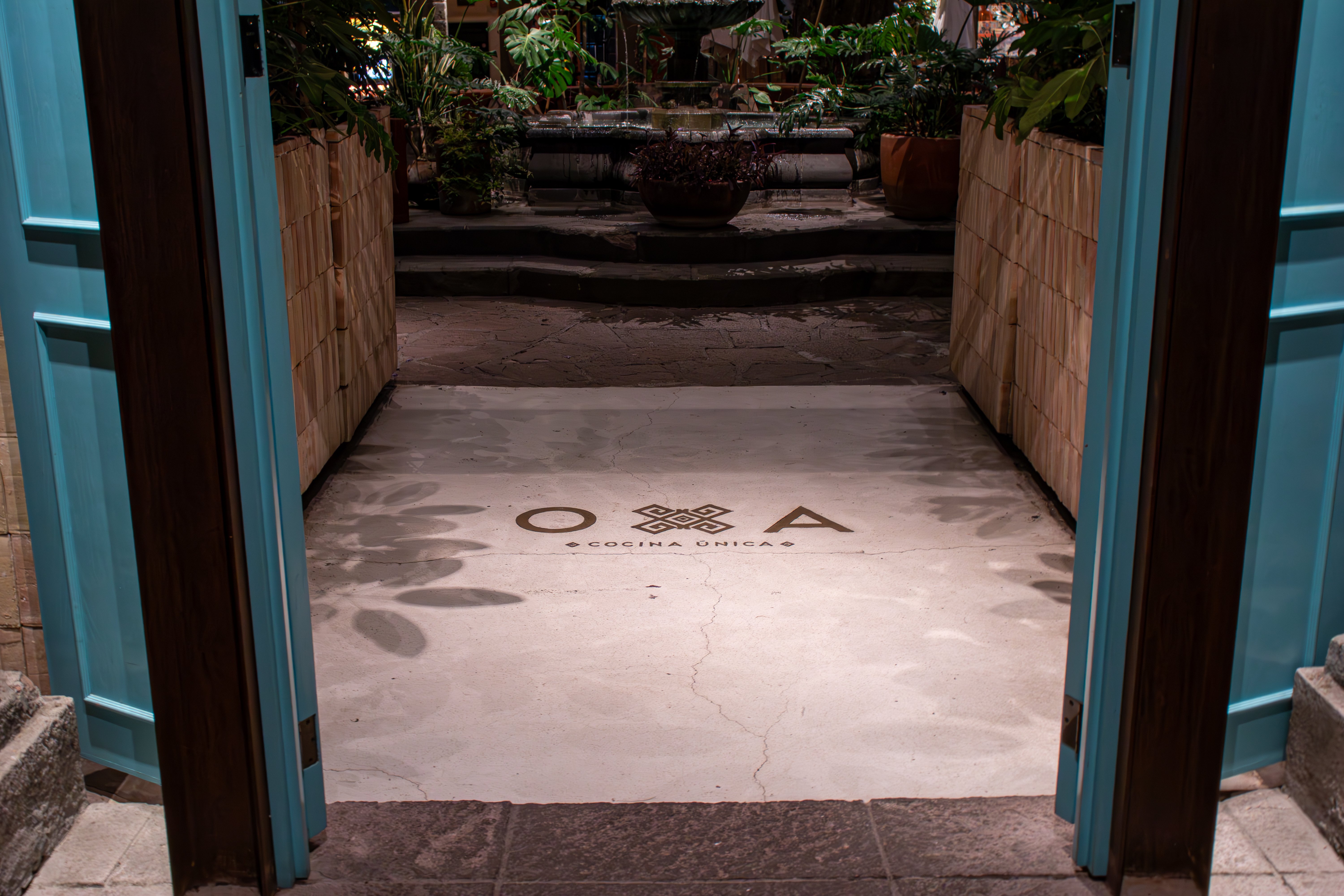 Alumnos de CESSA Universidad llevan sus platillos al restaurante OXA